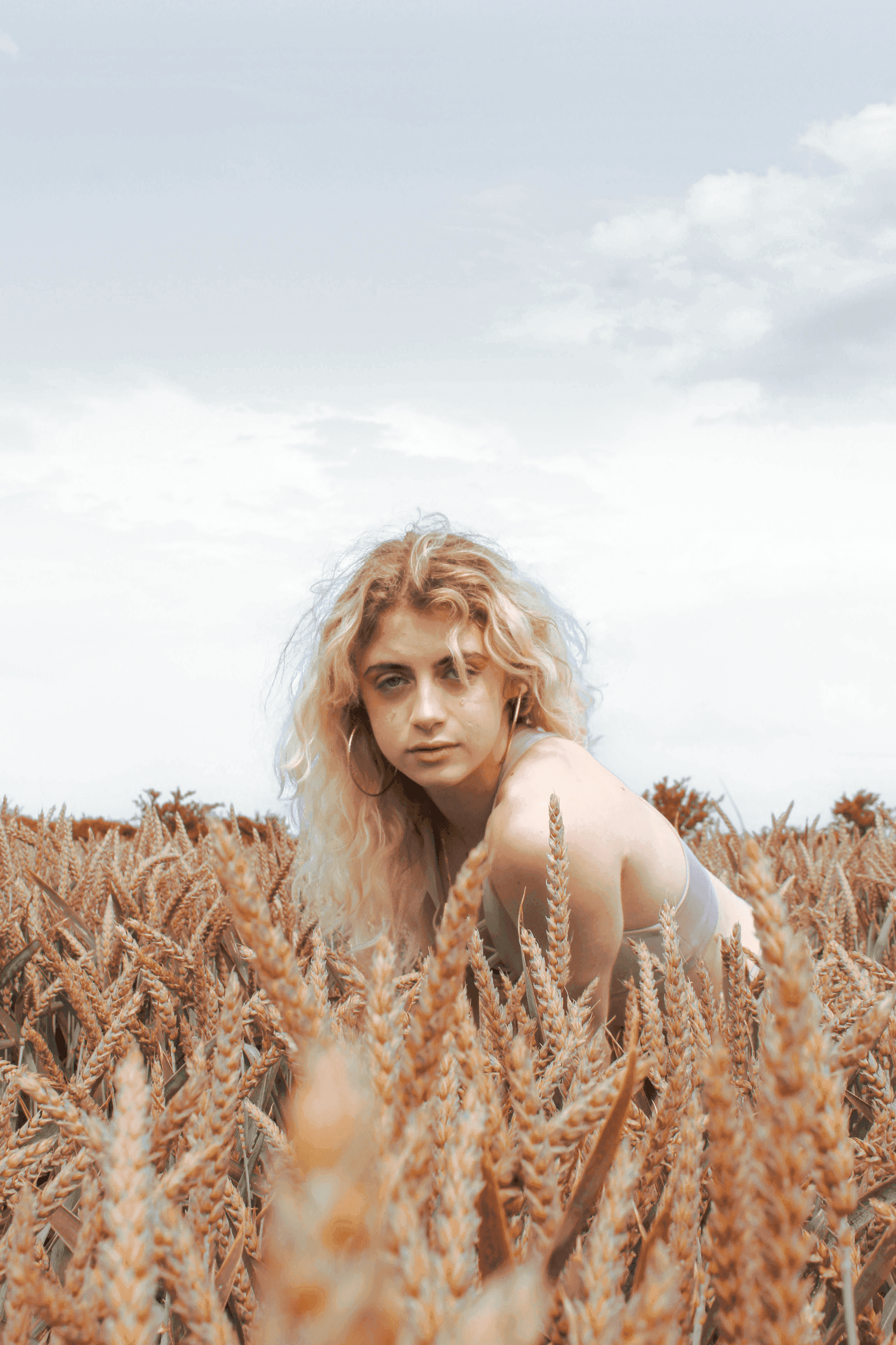 Golden Field