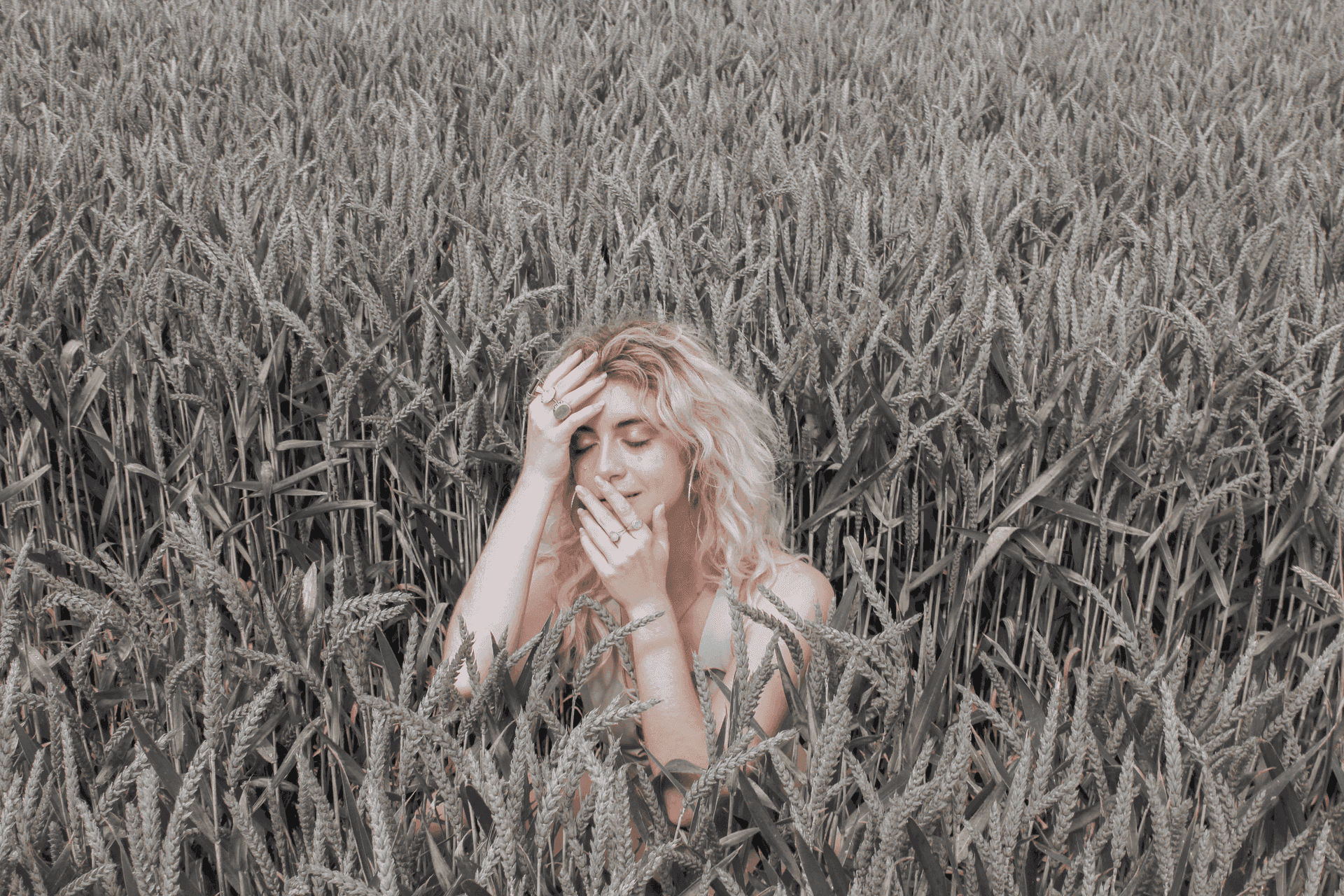 Golden Field