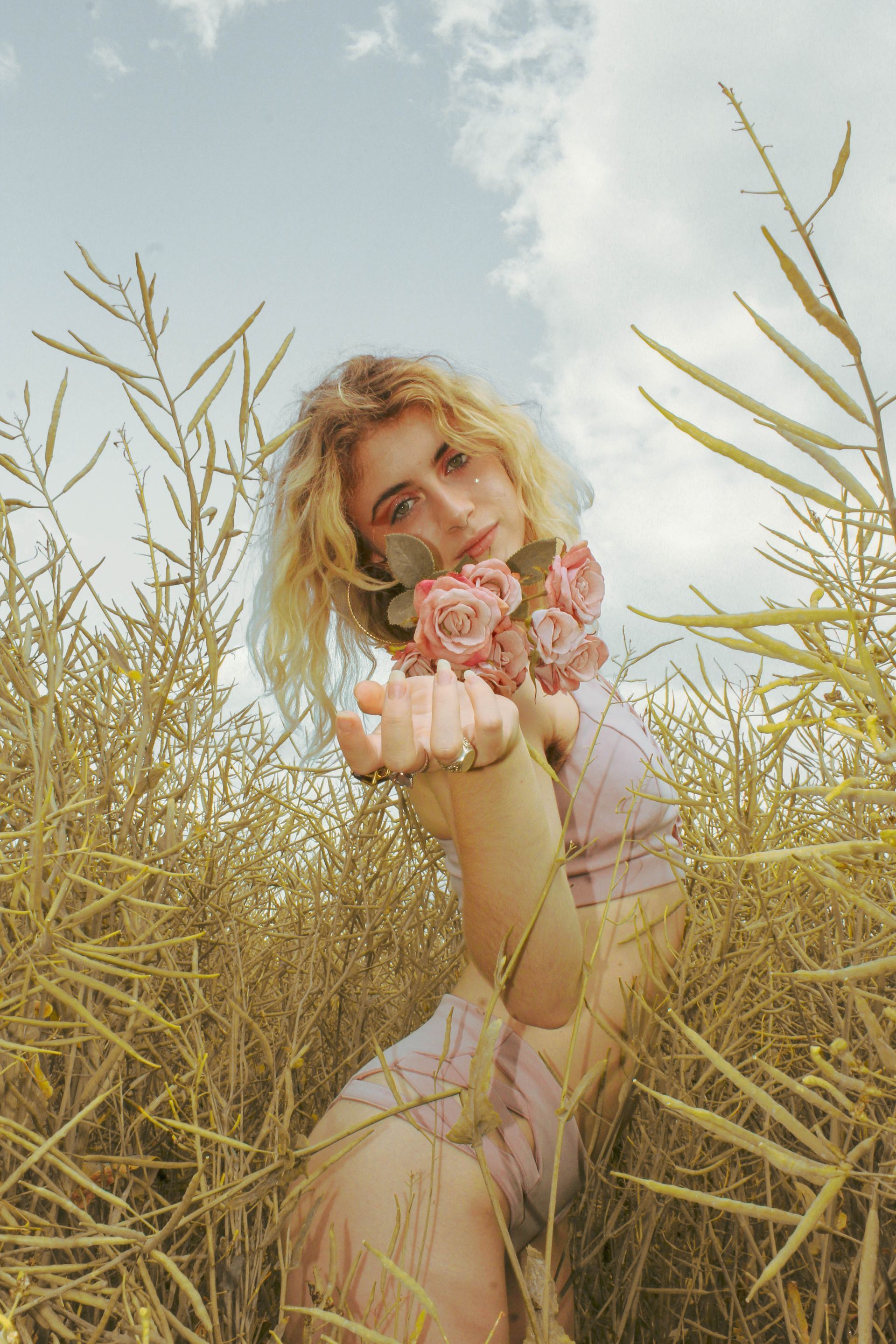 Golden Field