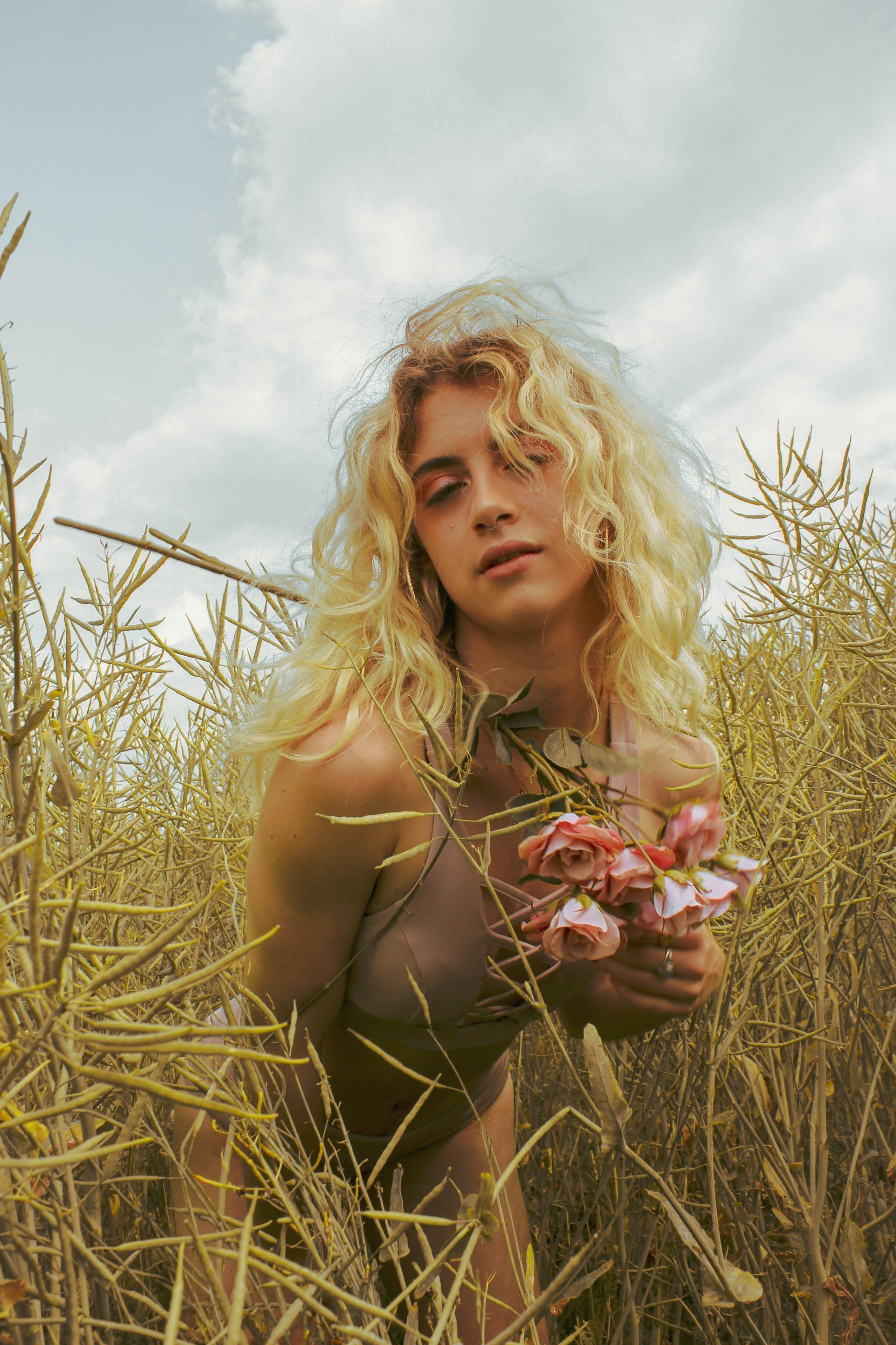 Golden Field